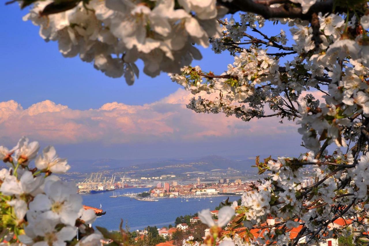 Razgled/The View Apartman Koper városi község Kültér fotó